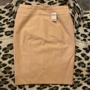 Pink Pencil Skirt